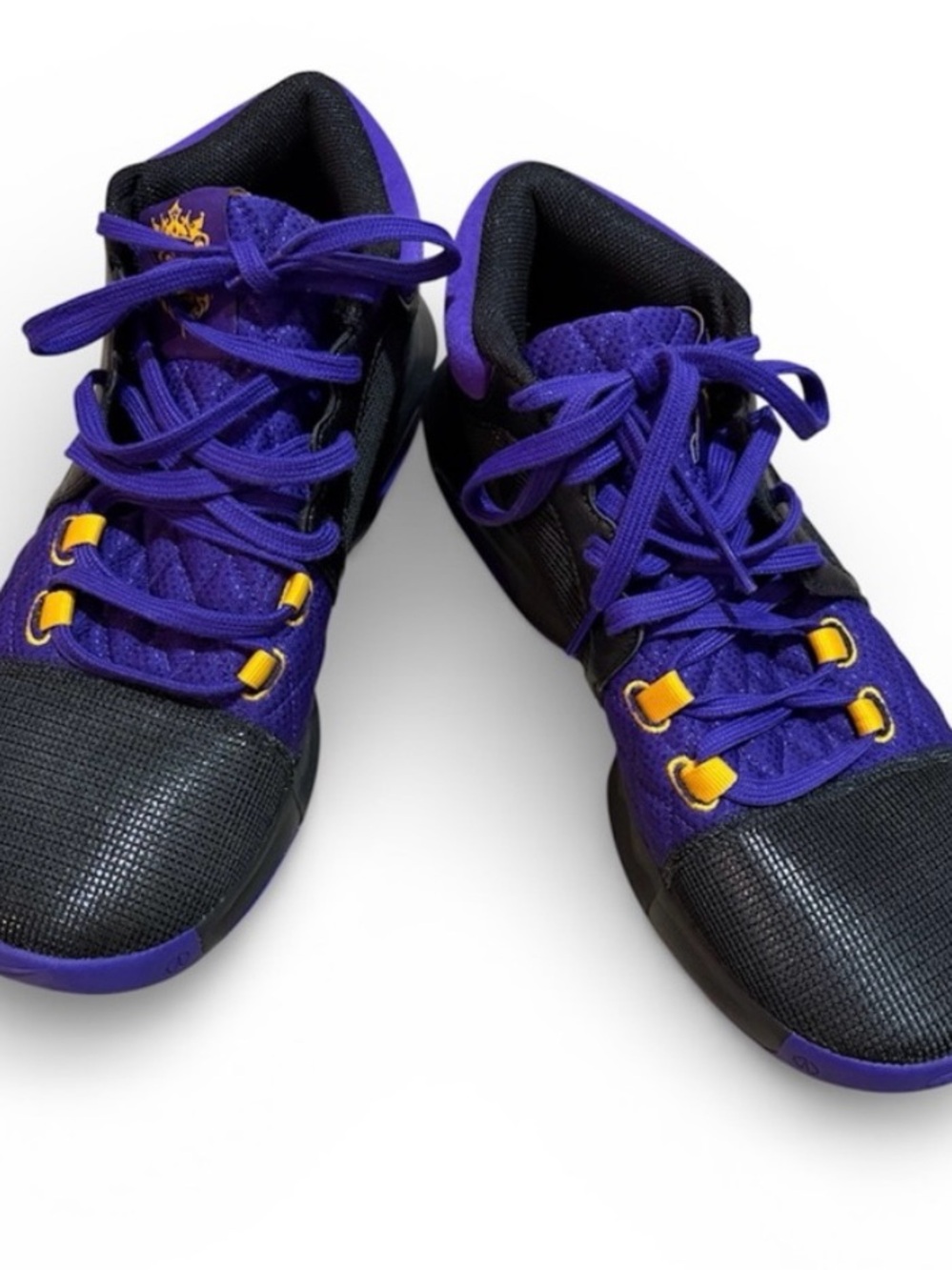 Nike LBJ Witness Vlll Purple, Black and Gold Mid Top Mesh Shoes